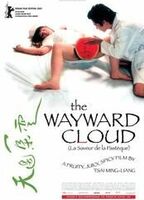 The Wayward Cloud